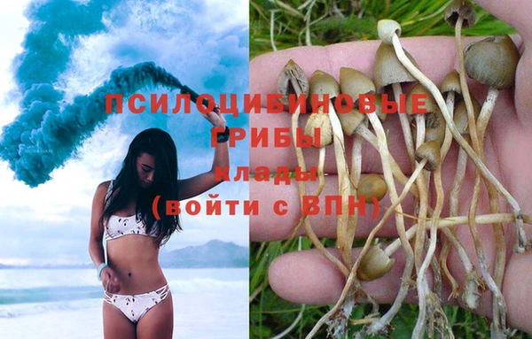mdpv Коряжма