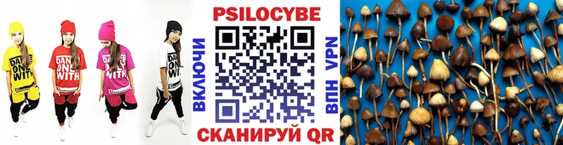 нарко площадка телеграм  Кудымкар  Псилоцибиновые грибы Psilocybe 